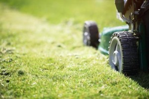 lawn care small mower image local lawn care company website london ontario